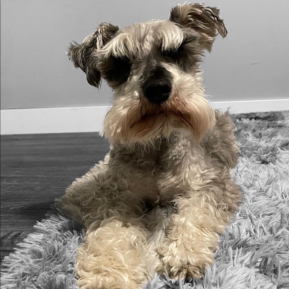 Meet your Posher, Michelle - Picture 2 of 5